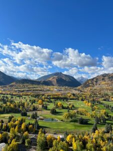 Aspen real estate