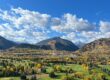 Aspen real estate